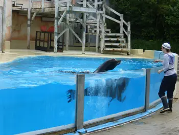 Boudewijn Seapark in Brugge (België)